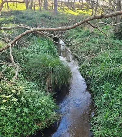 Wiborada Fisterra